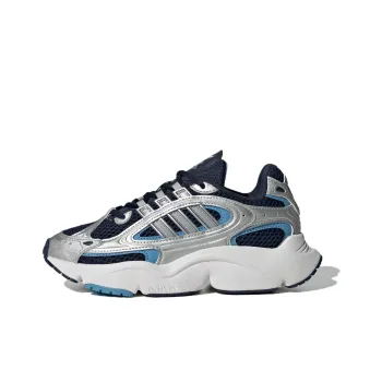 Adidas Originals Ozmillen Anti Slip Wear Resistant Low Top Kids Lifestyle Shoes Silver Blue Teenagers