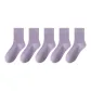 5-Pack Purple