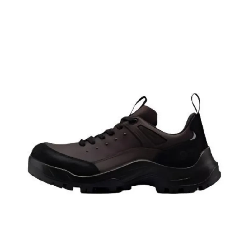 Ecco Low Top Hiking/Trekking Shoes Men's Brown-0