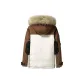 Brown Beige
