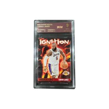 PANINI Lakers LeBron James The King Flame Teca Basketball Card Rare Card Graded Cards 1 Pc