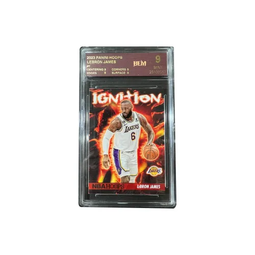 PANINI Lakers LeBron James The King Flame Teca Basketball Card Rare Card Graded Cards 1 Pc