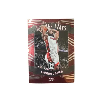 PANINI Heat Team LeBron James Slam Dunk Card Star Card Rare Card Sports Cards 1 Pc