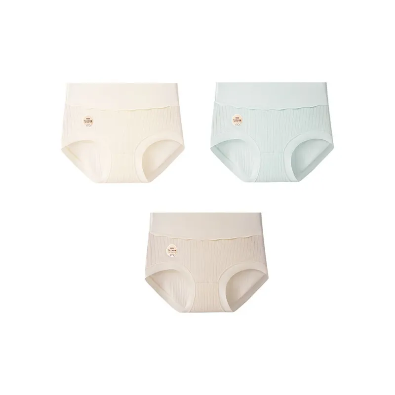 GRACEWELL Underpants Women's 3 Pack-2