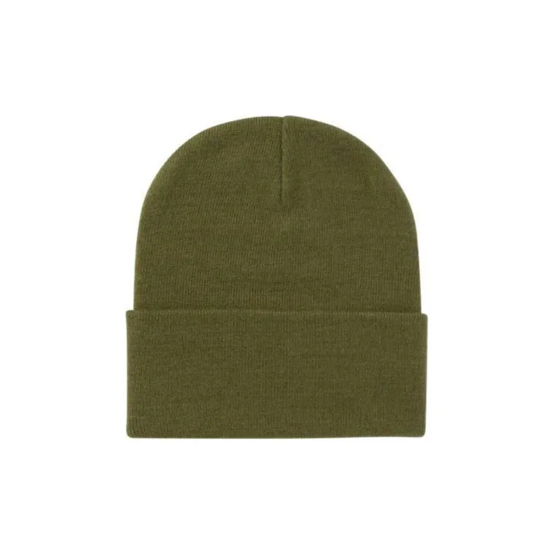 Carhartt Script Logo Embroidered Beanie-1