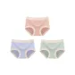 MY-8927/Shrimp Red+Gray Blue+Pea Green/3 Pack