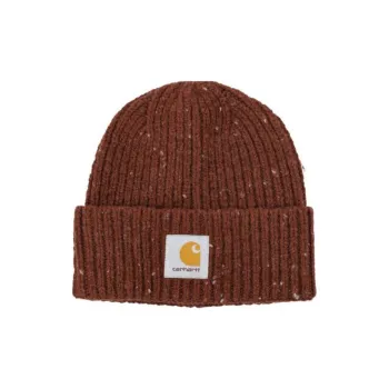 Carhartt WIP Anglistic Beanie