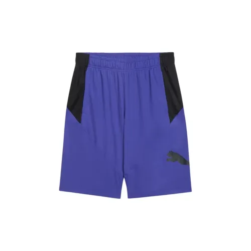 PUMA DRYCELL Sports Shorts Men Lapis Lazuli