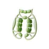 18-Cycle Double-Layer Leg Shaper-Avocado Green