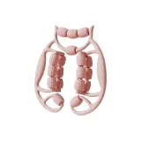 18-Loop Double-Layer Leg Slimmer-Monet Pink