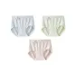 Misty Blue+Matcha Green+Girly Pink