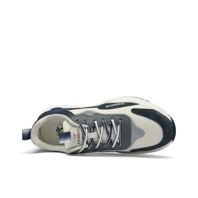 HENIBAOLUO Men's Casual Shoes Men Low Top Blue-5