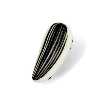 Crafts Women's Resin Hair Clips Women's