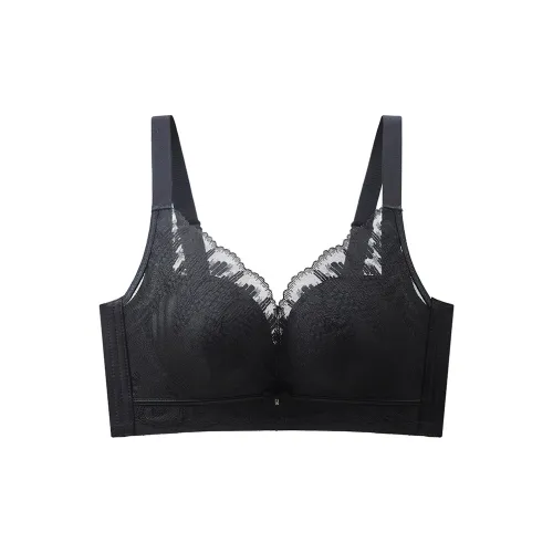 Lanza Women's Bras
