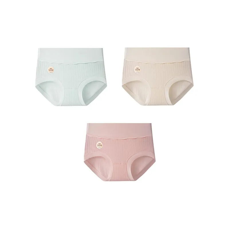 GRACEWELL Underpants Women's 3 Pack-3