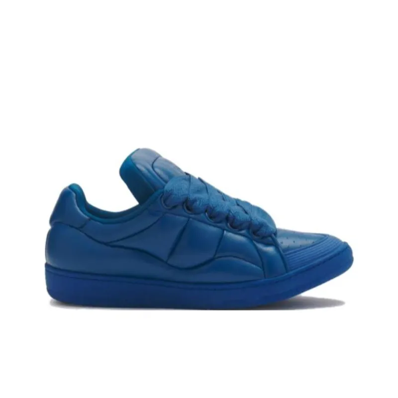 Lanvin Curb Low Top Skateboard Shoes Men's Blue-1