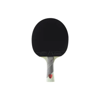 JOOLA Ping Pong Paddles Solid Wood Green