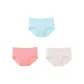 3 Pack (Blue+Pink+Light Pink)
