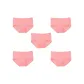 5 Pack (Pink+Pink+Pink+Pink+Pink)