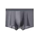 1 Pack (Lithium Gray)