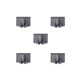 5 Pack (Lithium Gray+Lithium Gray+Lithium Gray+Lithium Gray+Lithium Gray)