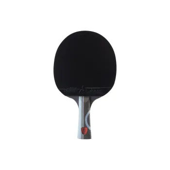 JOOLA Ping Pong Paddles