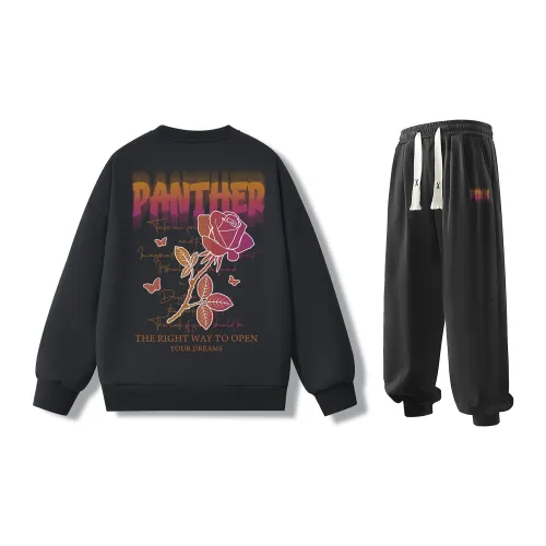 PINK PANTHER Sweatshirt Sets Unisex