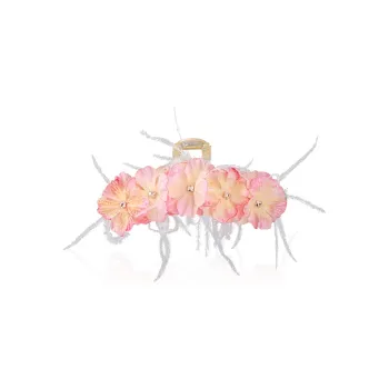 Specialoutlook Acrylic Hair Clips Women's