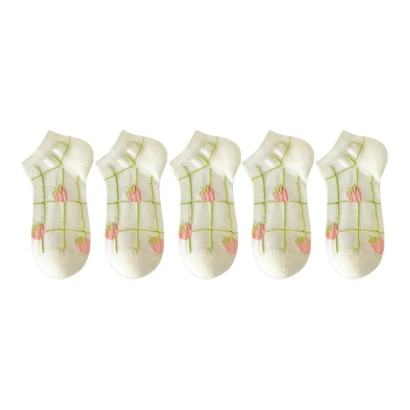 ROBINHOOD No Show Socks Women's 5 Pack-10