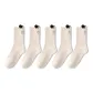5 Pack (White)
