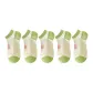 5 Pack Bunny White