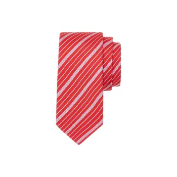 Ferragamo Ties Men