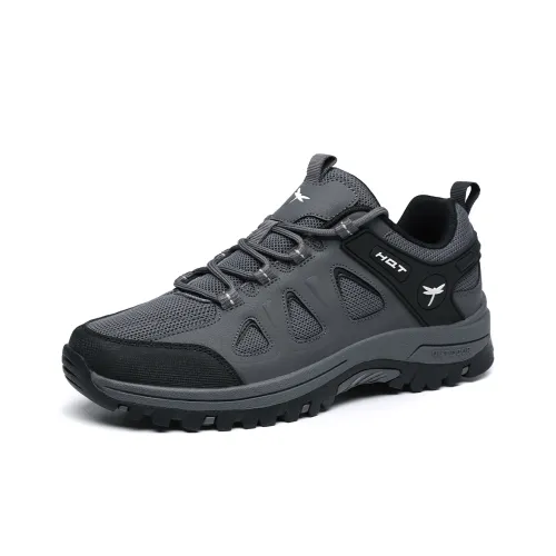 RED DRAGONFLY Trekking Shoes Wear Resistant Breathable Slip Resistant Low Top Hiking Shoes Men's