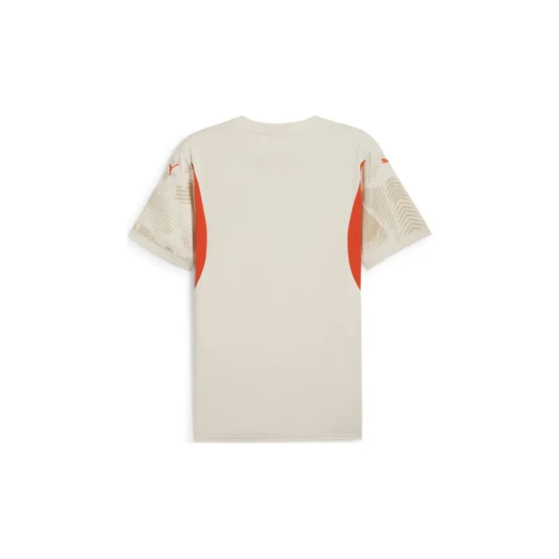 PUMA Olympique De Marseille Soccer Jerseys Men's Umber-1