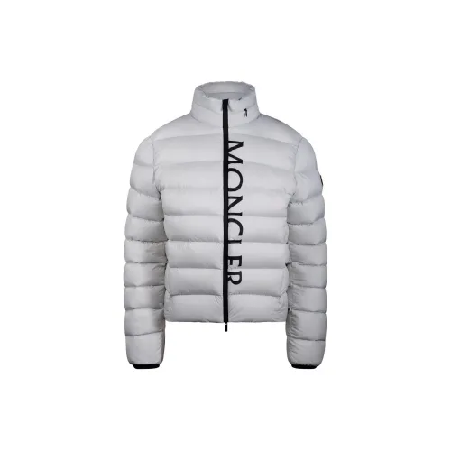 Moncler Down Jackets Women's Silver Gray