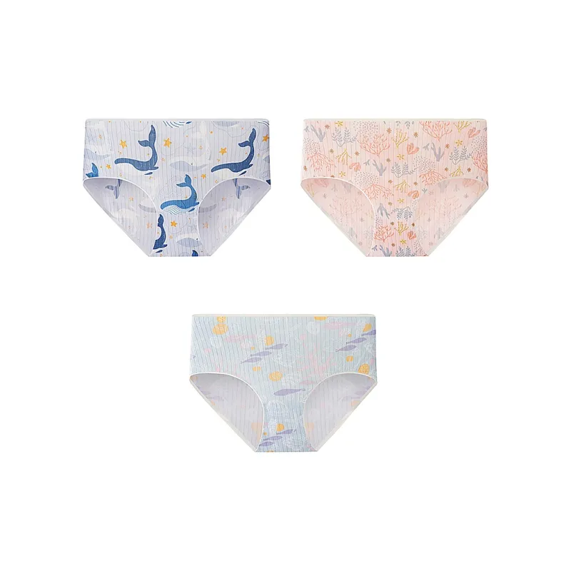 KJ Underpants Women's Combo Set-65