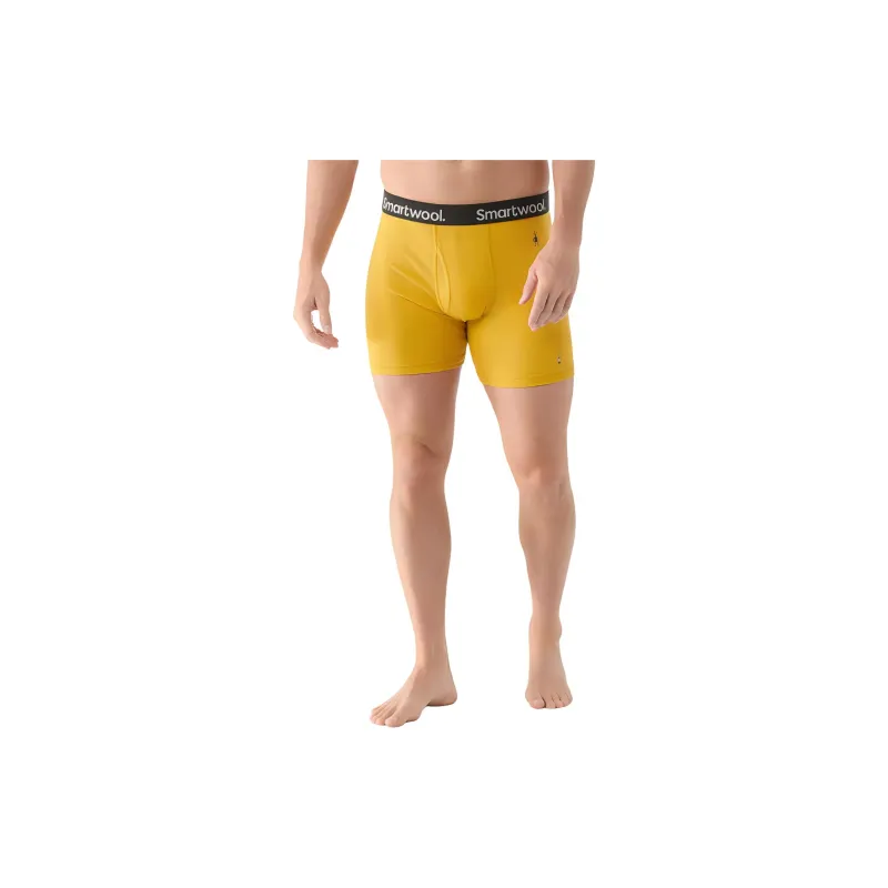 SMARTWOOL Merino Boxer Brief Underpants Men's 1 Pack-3