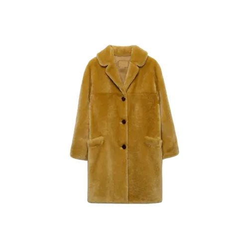 PRADA FW24 Coats Women's Yellow