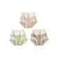 MY-8936/Cameo Brown+Light Green+Chestnut/3 Pack