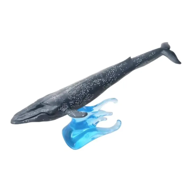BANDAI Biological Encyclopedia Simulation Marine Life Ornament Mini05 Whale Orca Humpback Whale Bonus Gifts-6