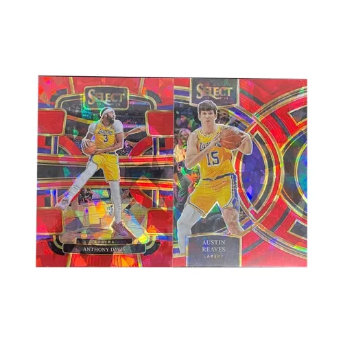 PANINI 스포츠 카드