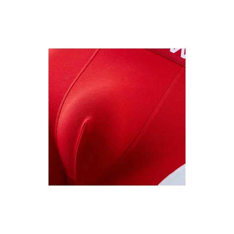 Lanza Men Underpants-19