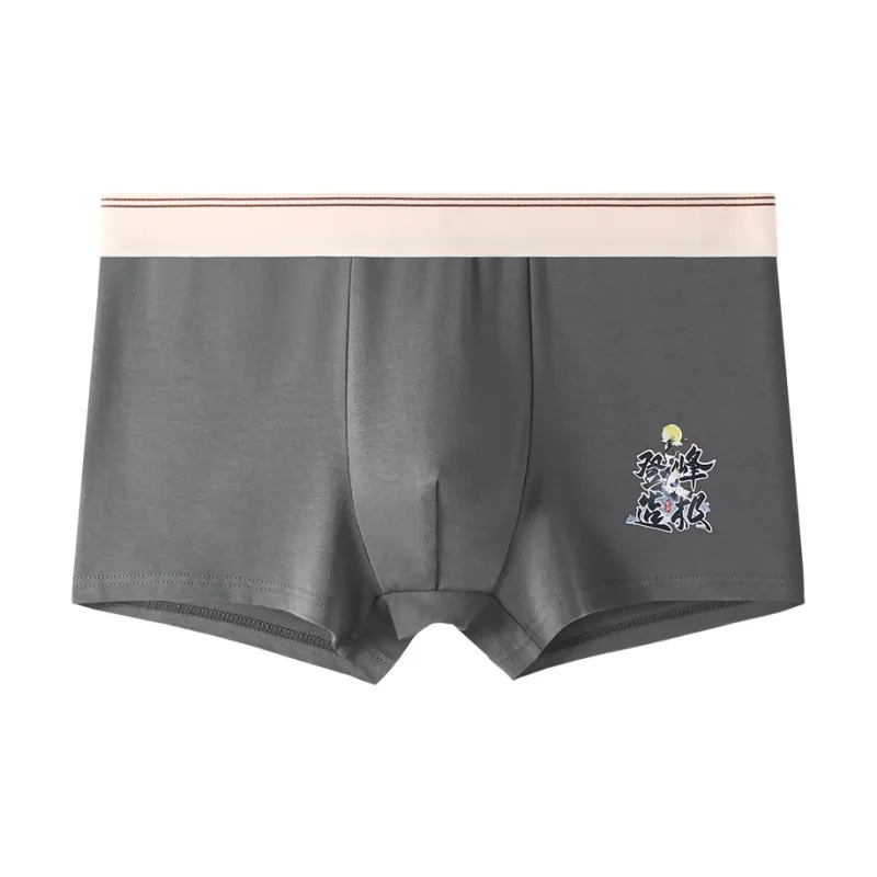 PBENO PD Underpants Men's 4 Pack-2