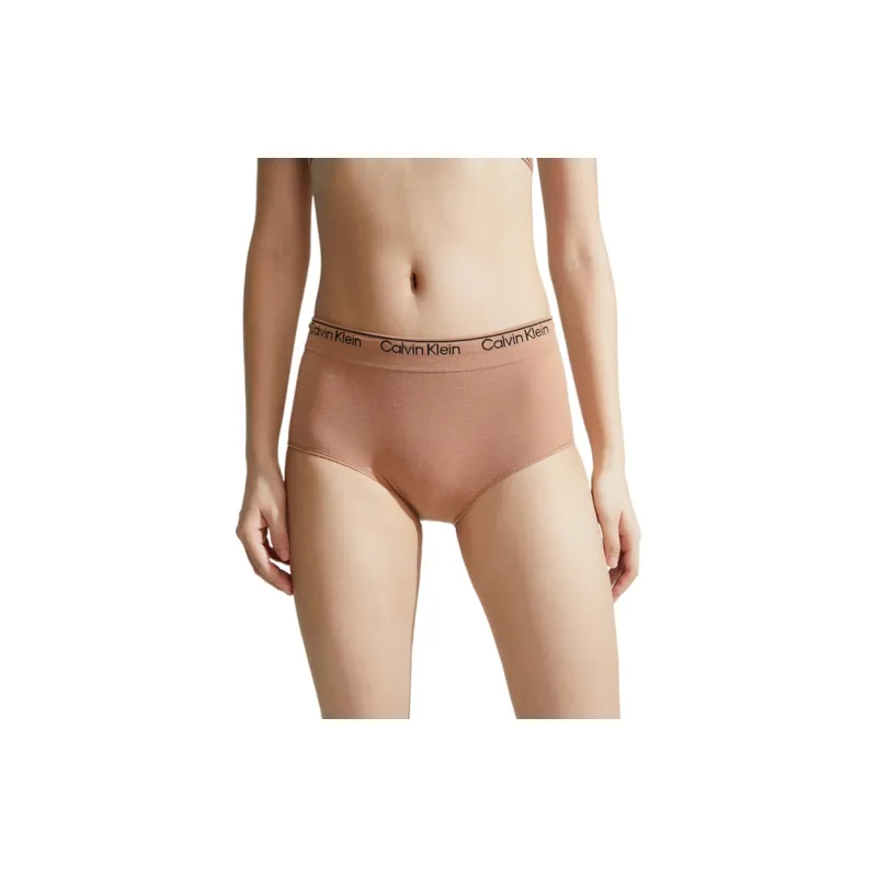 CALVIN KLEIN Vintage Maillard Collection Underpants Women's 1 Pack-1