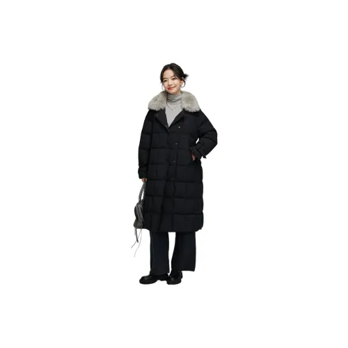 Feathered object Down Jackets Women's