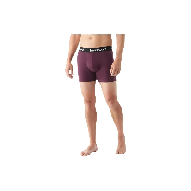 SMARTWOOL Underpants Men's 1 Pack-1
