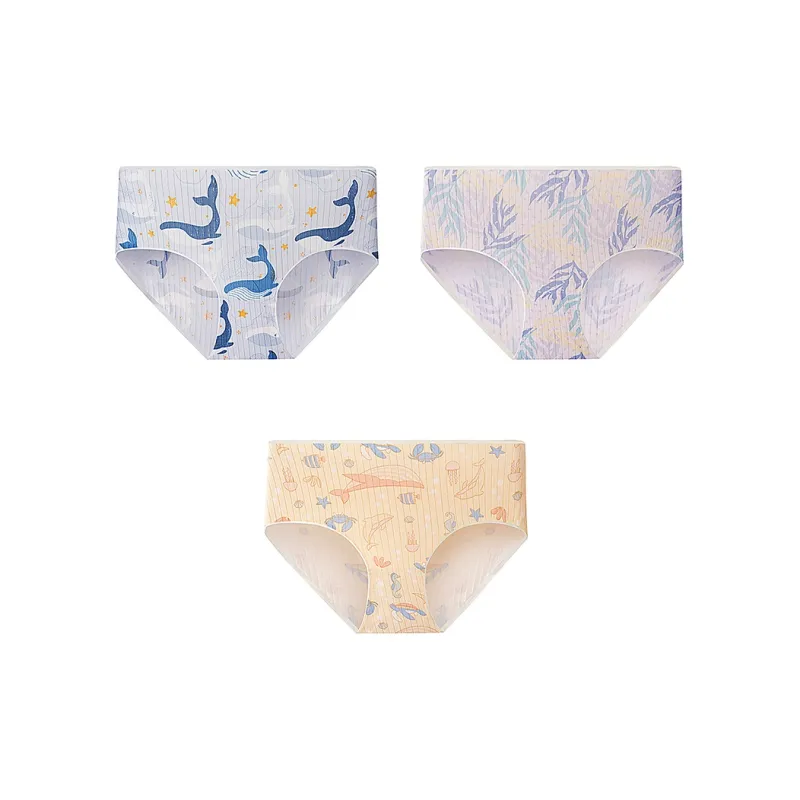 KJ Underpants Women's Combo Set-52