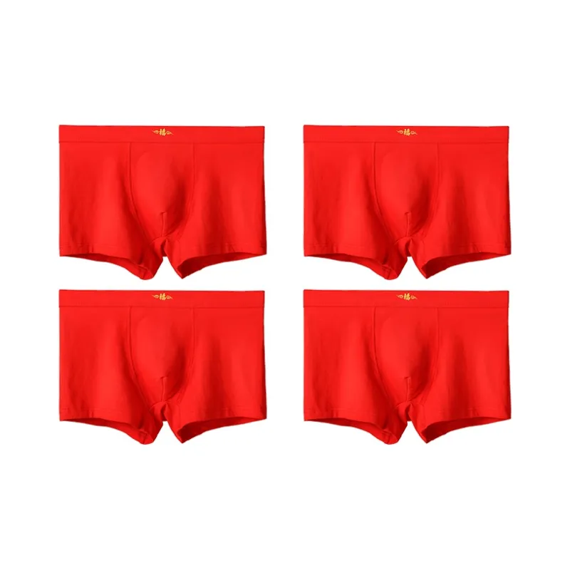Lanza Men Underpants-15