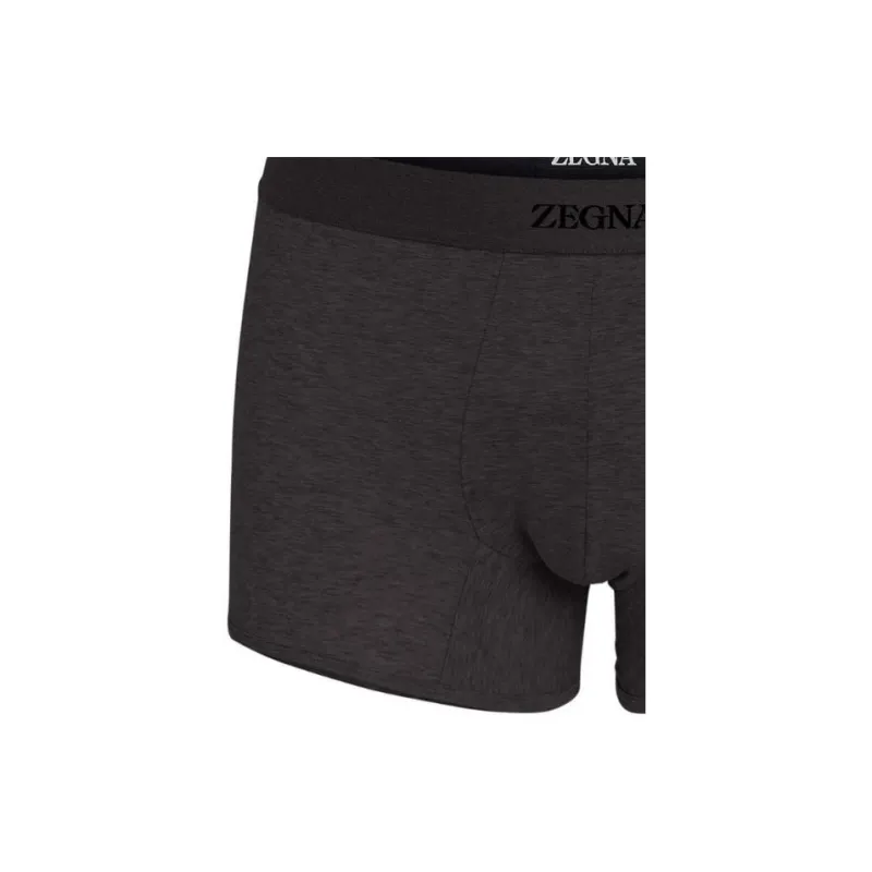 Ermenegildo Zegna Logo Detailed Elasticated Waistband Trunks-2