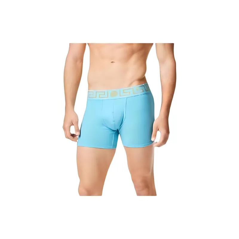 VERSACE Greca Border Swim Shorts Light Blue-1